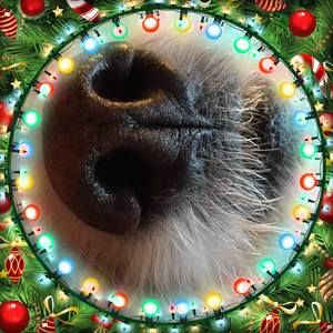 Meet your Posher, Sue